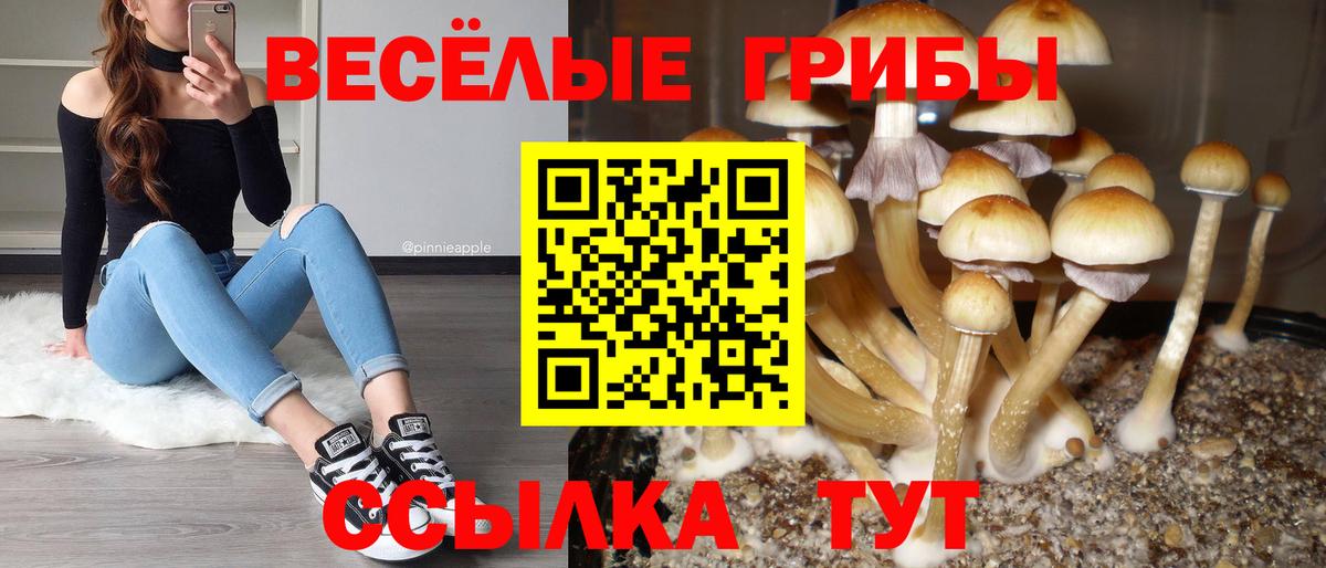 Галлюциногенные грибы мицелий Тавда