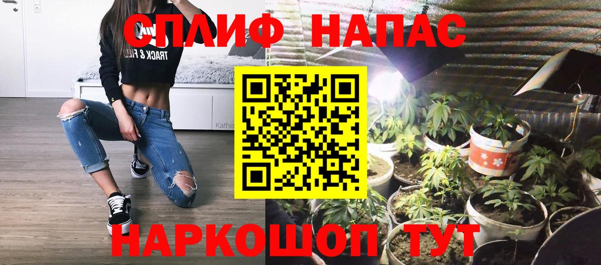 Марихуана сатива  Вход с VPN  Канабис сатива  Тавда 